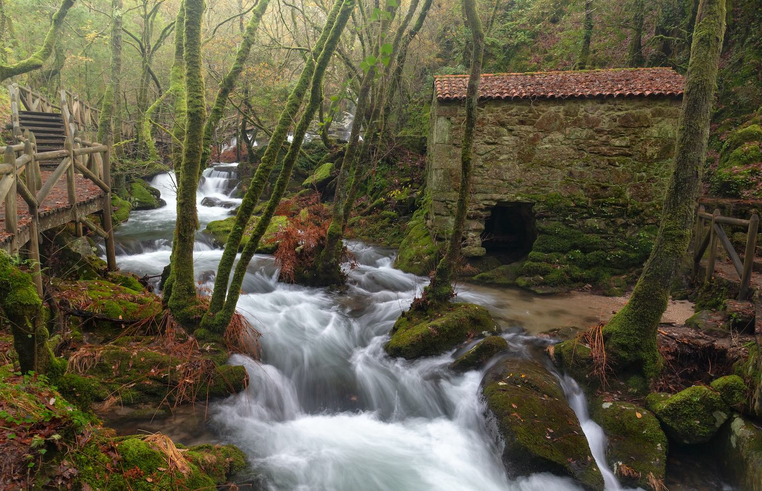 fervenza galicia